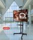 Крепление для телевизора V-STAR TV CART 1500/8005 32"-70" для плазмы до 27 кг 00024463 фото 3
