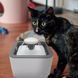Поїлка для тварин Pet Water FOUNTAIN Автоматична напувалка - фонтан 00021913 фото 2