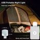 Портативный светильник-ночник LED от USB 00022169 фото 6
