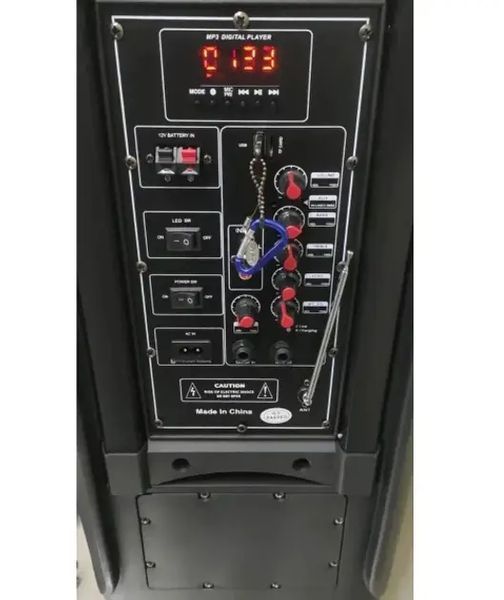Портативная колонка Su-Kam 1010 + 2 микрофона + BT 12v220v 00017547 фото