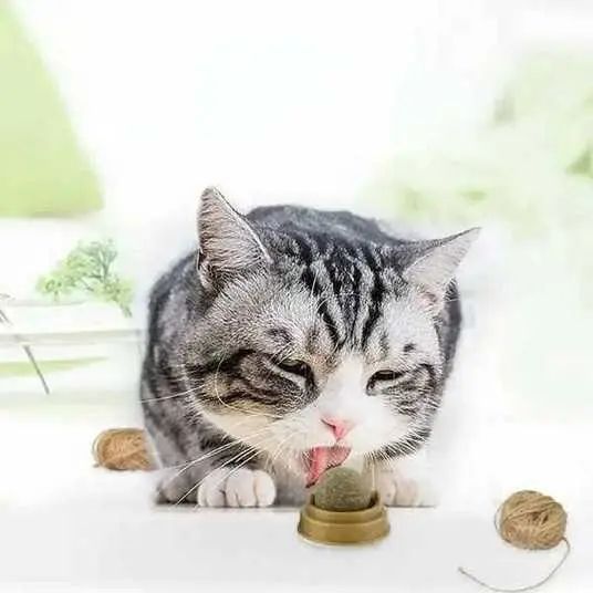 Кошачья игрушка для кошек мятный шарик кошачий леденец 00021929 фото