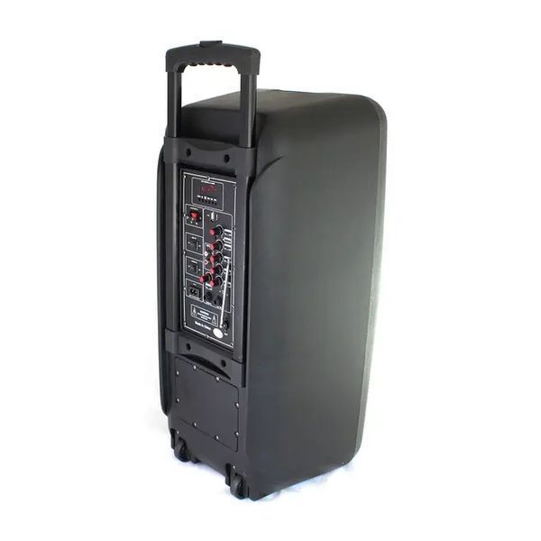 Портативная колонка Su-Kam 1010 + 2 микрофона + BT 12v220v 00017547 фото