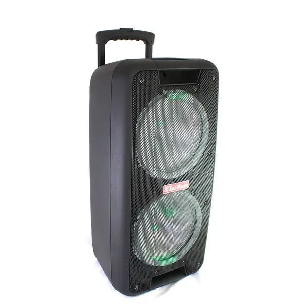 Портативная колонка Su-Kam 1010 + 2 микрофона + BT 12v220v 00017547 фото