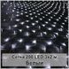 Гірлянда світлодіодна Сітка 200 LED 3х2м 00024719 фото 1