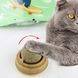 Кошачья игрушка для кошек мятный шарик кошачий леденец 00021929 фото 5