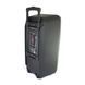 Портативная колонка Su-Kam 1010 + 2 микрофона + BT 12v220v 00017547 фото 4