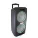 Портативная колонка Su-Kam 1010 + 2 микрофона + BT 12v220v 00017547 фото 3