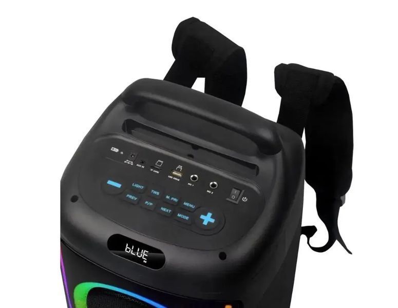 Колонка Bluetooth Portable Party Speaker TTD-2016 00018194 фото