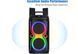 Колонка Bluetooth Portable Party Speaker TTD-2016 00018194 фото 4