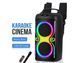 Колонка Bluetooth Portable Party Speaker TTD-2016 00018194 фото 2
