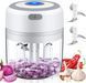 Портативный кухонный измельчитель Release Hands One Click Garlic 00020455 фото 2