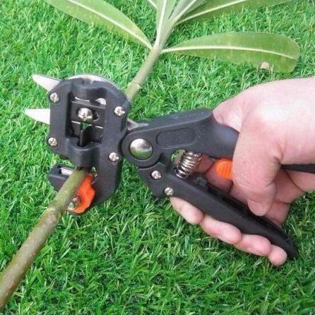 Професійний щеплювальний секатор Titan Professional Grafting Tool для обрізання та щеплення дерев 00013622 фото