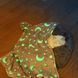 Светящийся в темноте плед плюшевое покрывало Blanket kids Magic Star 150х100 см флисовое одеяло. Цвет: серый 00012603 фото 48