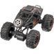 Радиоуправляемая игрушка ZIPP Toys Машинка CAM багги с камерой, черный 00024575 фото 1