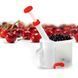 Прилад для видалення кісточок Helfer Hoff Cherry and olive corer 00020592 фото 4