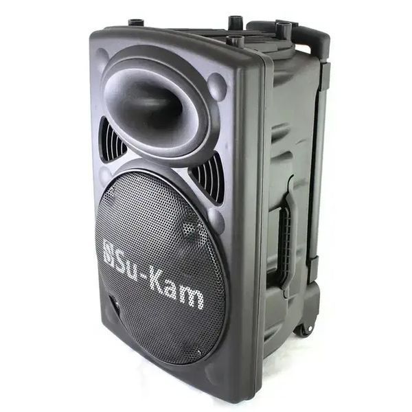 Портативная колонка Su-Kam BT 100D + 1 беспроводной микрофон (12v/220v) 00017843 фото