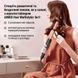 Плойка мультистайлер AIMED Hair Multistyler набор 5в1 00021364 фото 3